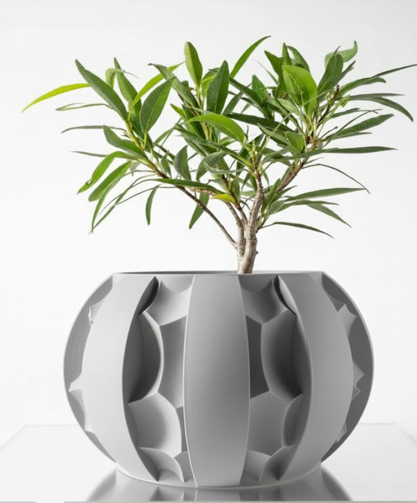 Der Erna – Skulpturale Eleganz trifft 3D-Pflanzenkultur