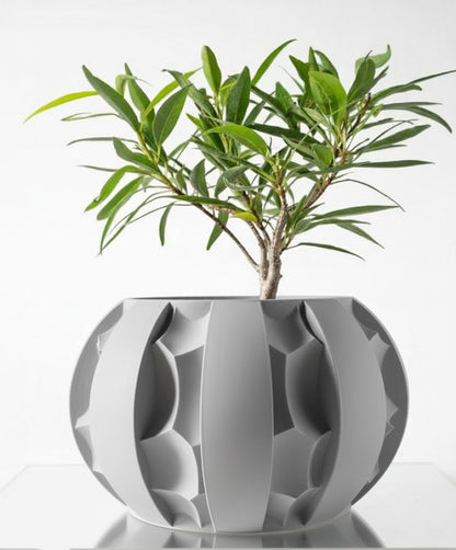 Der Erna – Skulpturale Eleganz trifft 3D-Pflanzenkultur