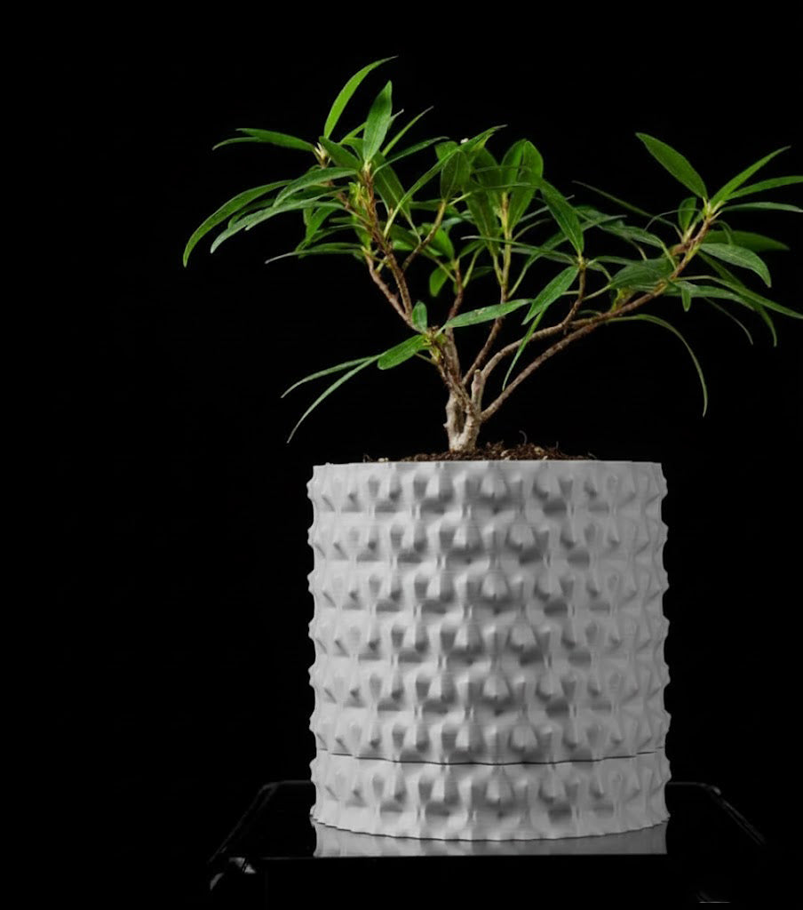 Robuster – Der markante 3D-Pflanztopf für starke Akzente