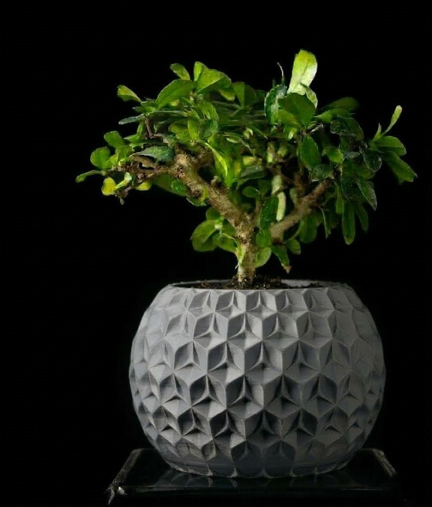 Trihex Pflanztopf – Geometrische Tiefe in 3D-Perfektion
