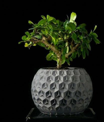 Trihex Pflanztopf – Geometrische Tiefe in 3D-Perfektion