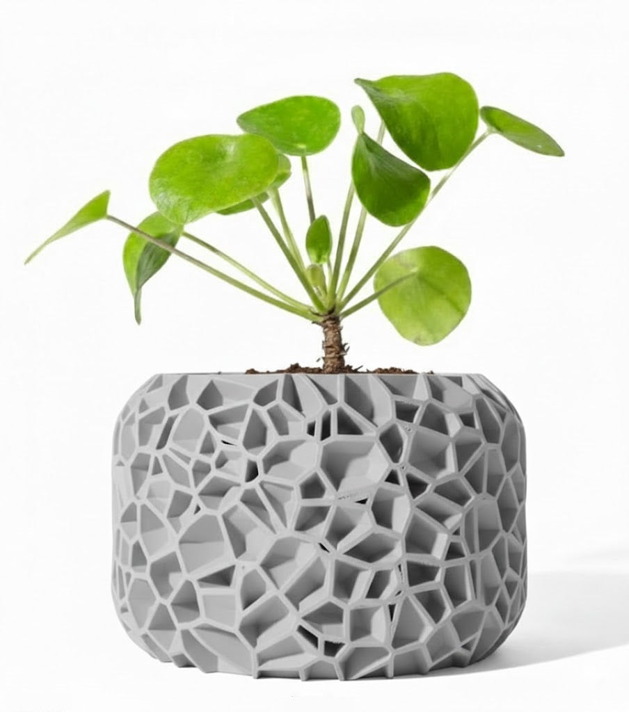 Der Vori – Organischer 3D-Pflanztopf im Voronoi-Look