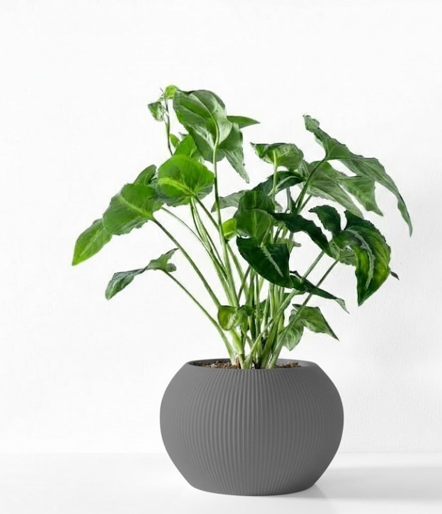Melfi Pflanztopf – Zeitlose Eleganz in Linienform