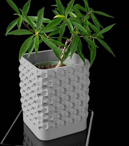 Rovi Square Planter Pot – Geometrie trifft Natur