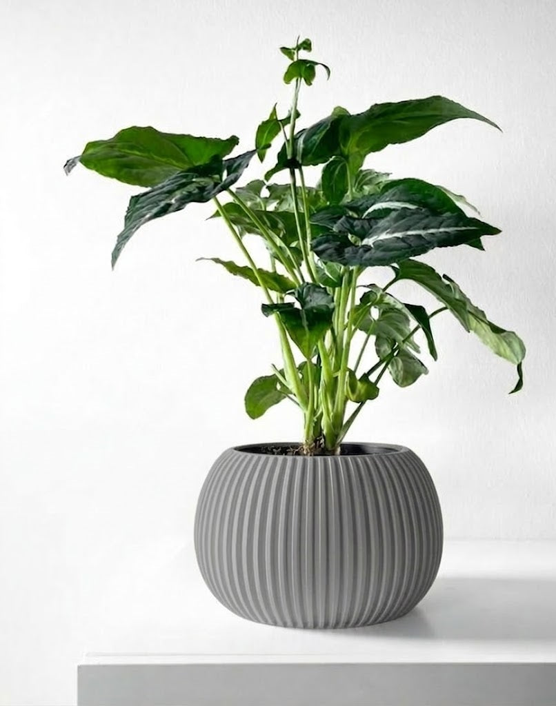 Surno Pflanztopf – Klassik neu definiert