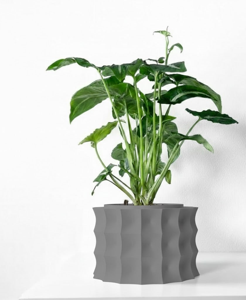 Kivern Pflanztopf – Design in Wellenform