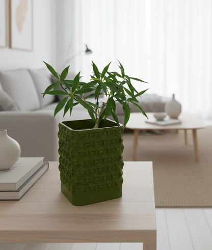 Rovi Square Planter Pot – Geometrie trifft Natur
