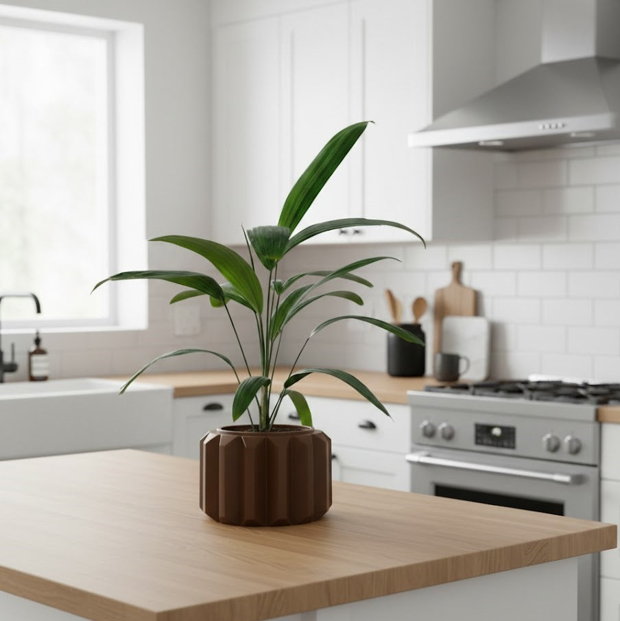 Ferix Pflanztopf – Klare Konturen, markantes Design