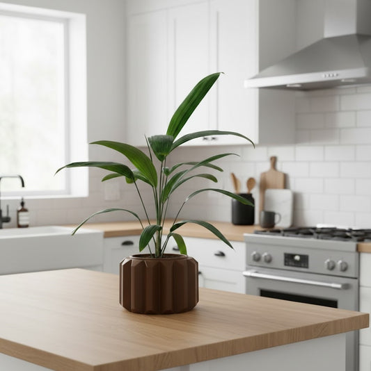 Ferix Pflanztopf – Klare Konturen, markantes Design