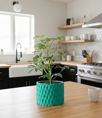 Grivan Pflanztopf – Geometrie trifft Eleganz