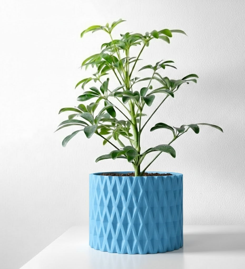 Grivan Pflanztopf – Geometrie trifft Eleganz