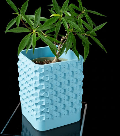 Rovi Square Planter Pot – Geometrie trifft Natur