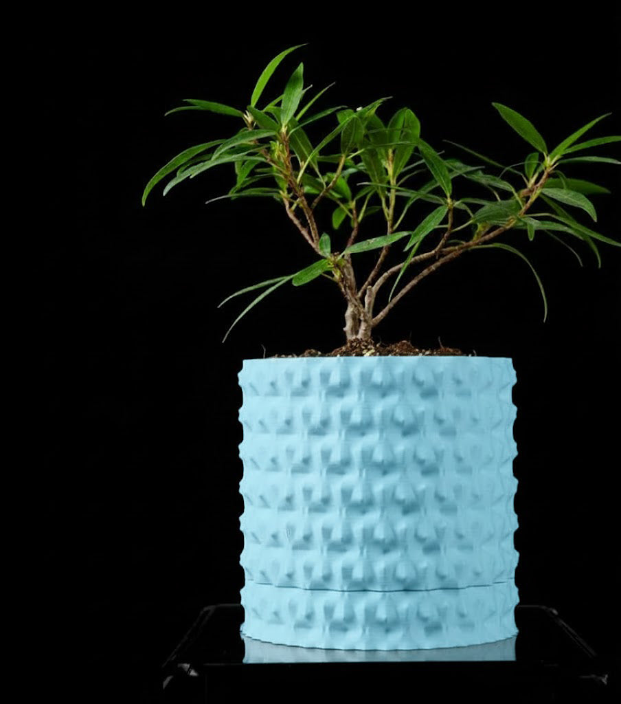 Robuster – Der markante 3D-Pflanztopf für starke Akzente