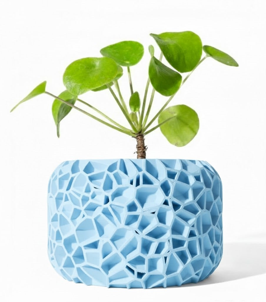 Der Vori – Organischer 3D-Pflanztopf im Voronoi-Look