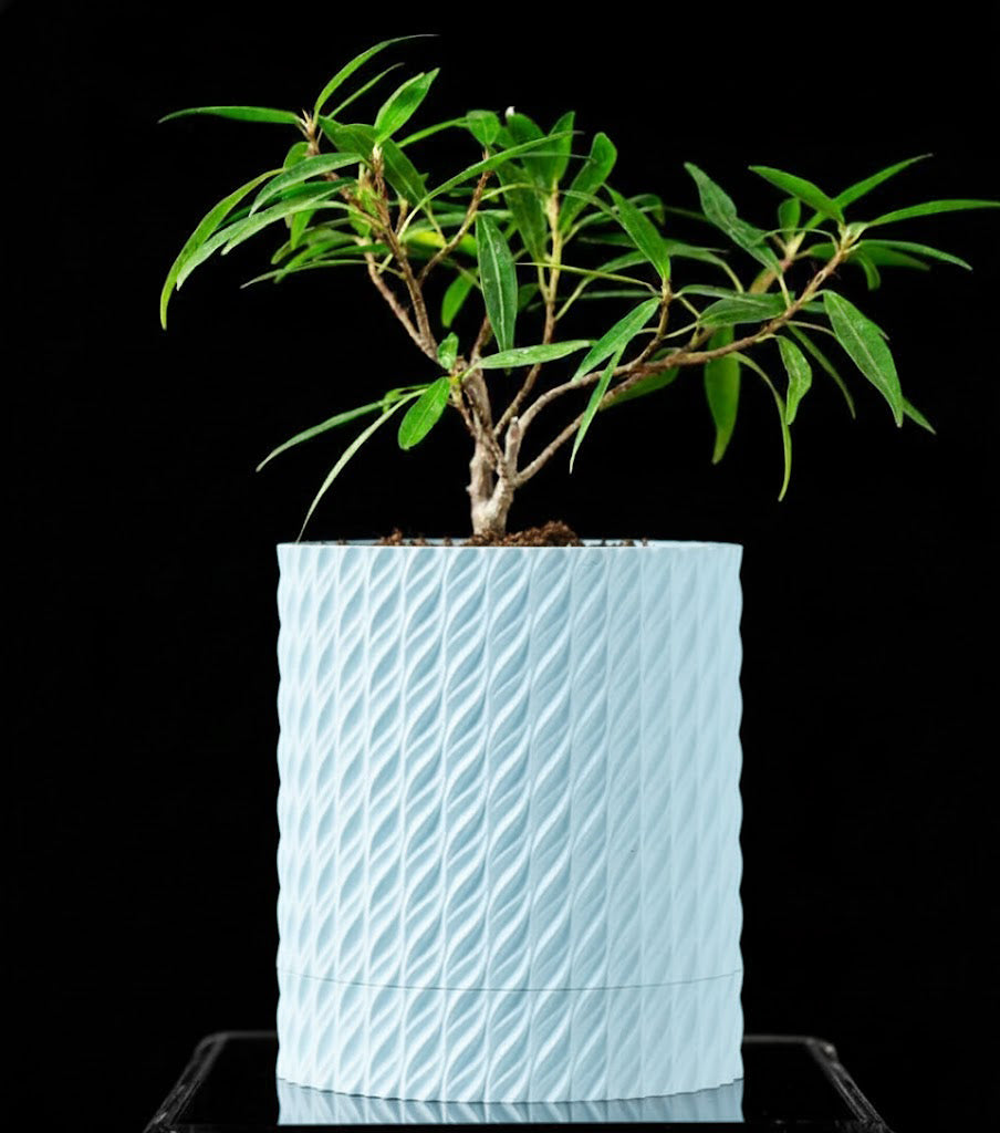 Flow Planter – Der spiraldynamische 3D-Pflanztopf