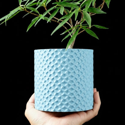 Ordan Planter Pot 3D– Geometrie trifft Natur