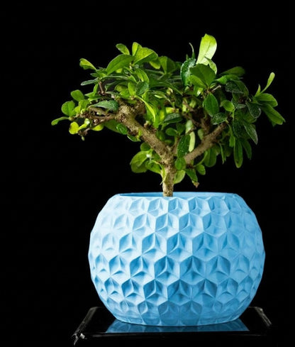 Trihex Pflanztopf – Geometrische Tiefe in 3D-Perfektion