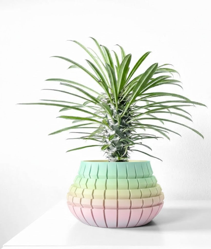 Ivane Pflanztopf – Stufenweise zum Design-Highlight