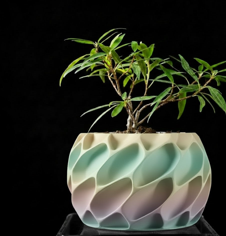 Exo Planter – Der organisch-dynamische 3D-Pflanztopf