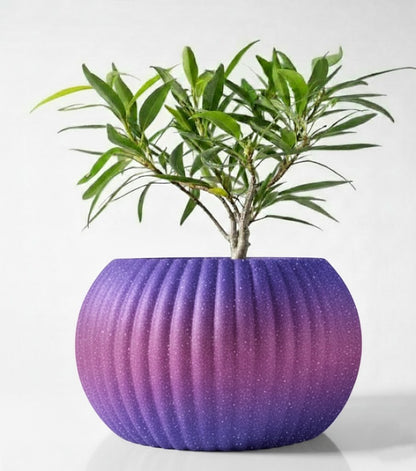 Der Roni – 3D-Pflanztopf mit harmonischer Rillenstruktur