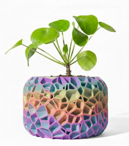 Der Vori – Organischer 3D-Pflanztopf im Voronoi-Look