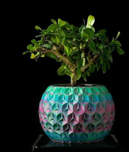 Trihex Pflanztopf – Geometrische Tiefe in 3D-Perfektion