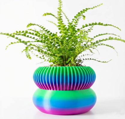 Der Elomi – 3D-Pflanztopf mit dynamischer Zweiteilung und skulpturaler Eleganz