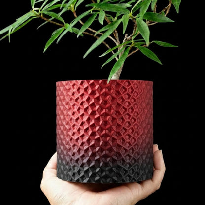 Ordan Planter Pot 3D– Geometrie trifft Natur