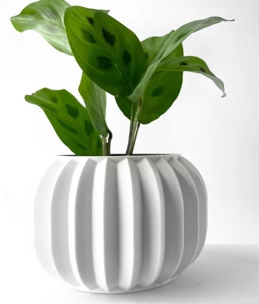Olin 3D Pflanztopf – Minimalismus trifft auf geometrische Eleganz