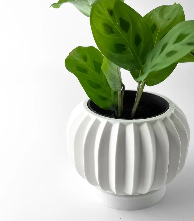 Olin 3D Pflanztopf – Minimalismus trifft auf geometrische Eleganz