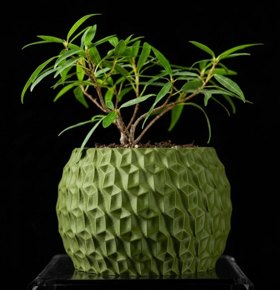 Hexa Planter Pot – 3D-Pflanztopf mit Facettenschliff