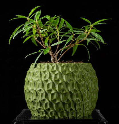 Hexa Planter Pot – 3D-Pflanztopf mit Facettenschliff