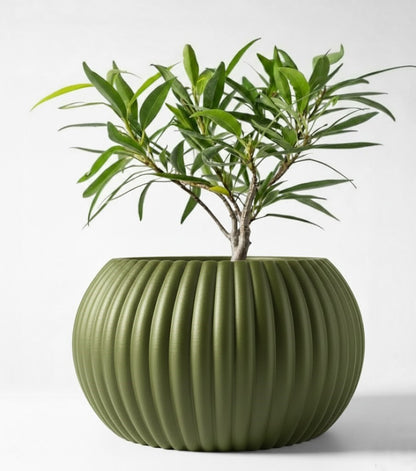 Der Roni – 3D-Pflanztopf mit harmonischer Rillenstruktur