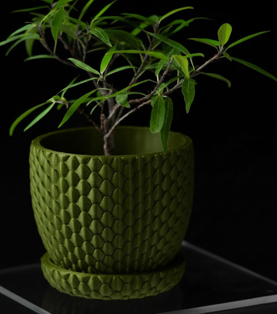 Dragonscale – 3D-Pflanztopf mit drachenstarker Struktur