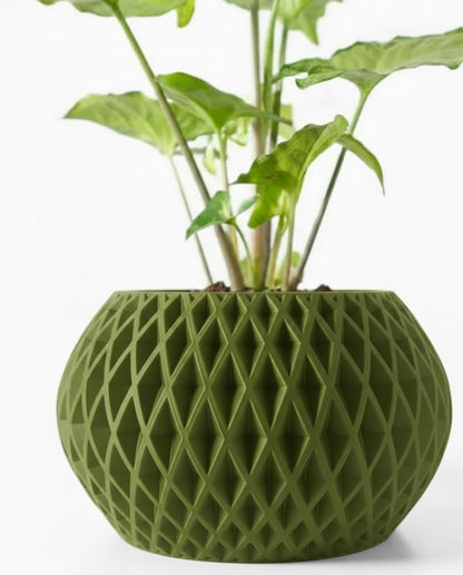 Gisar – Der 3D-Pflanztopf mit rautenstarker Präsenz