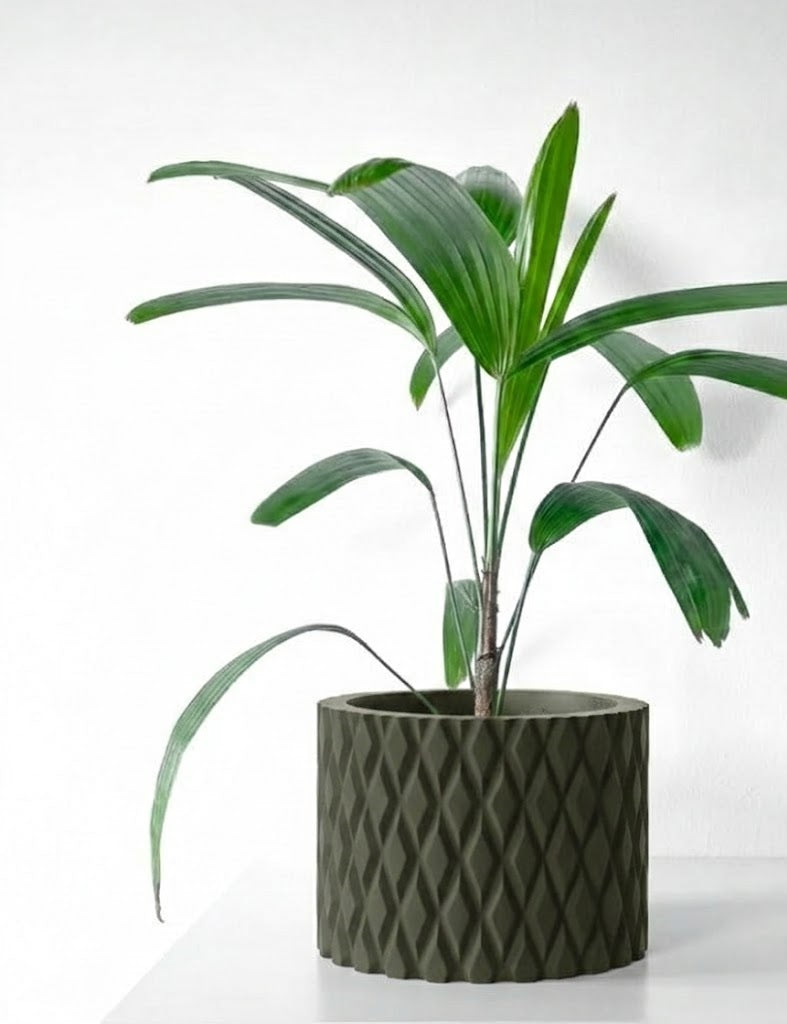 Pexil Pflanztopf – Grafische Eleganz in Perfektion