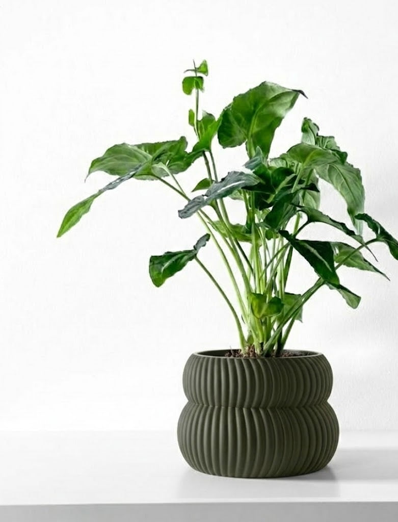 Quarn Pflanztopf – Weiche Konturen, starke Präsenz