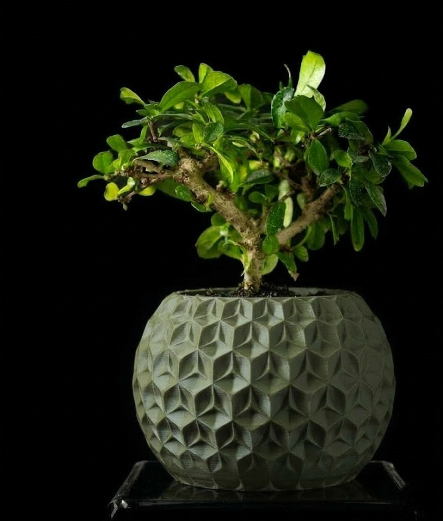 Trihex Pflanztopf – Geometrische Tiefe in 3D-Perfektion