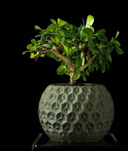 Trihex Pflanztopf – Geometrische Tiefe in 3D-Perfektion