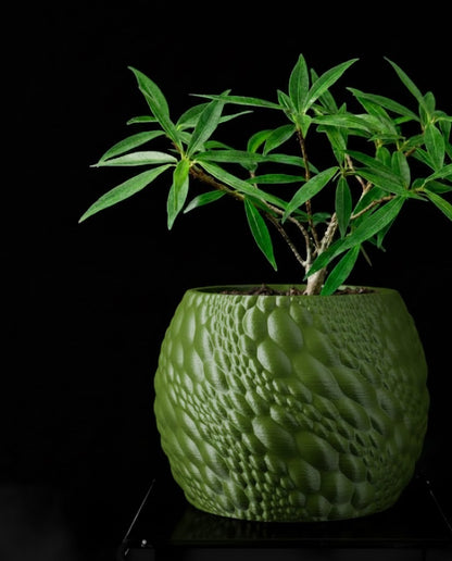 Gato Pflanztopf – Organisches 3D-Design für moderne Wohnräume