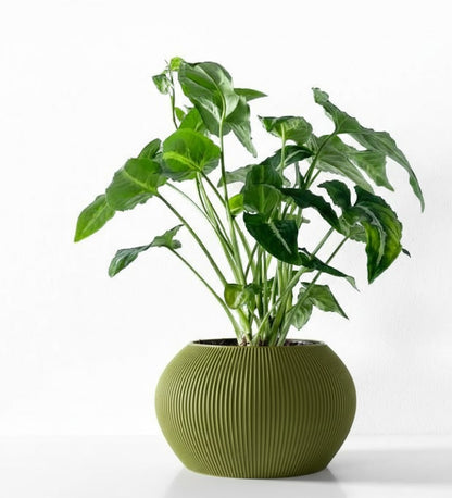 Melfi Pflanztopf – Zeitlose Eleganz in Linienform