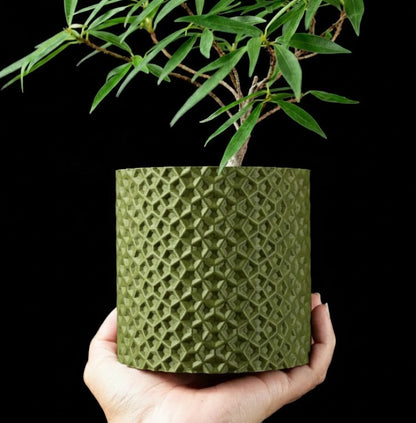 Ordan Planter Pot 3D– Geometrie trifft Natur