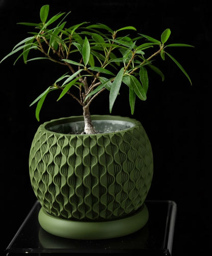 Bloom Planter – Der blüteninspirierte 3D-Pflanztopf mit organischer Struktur