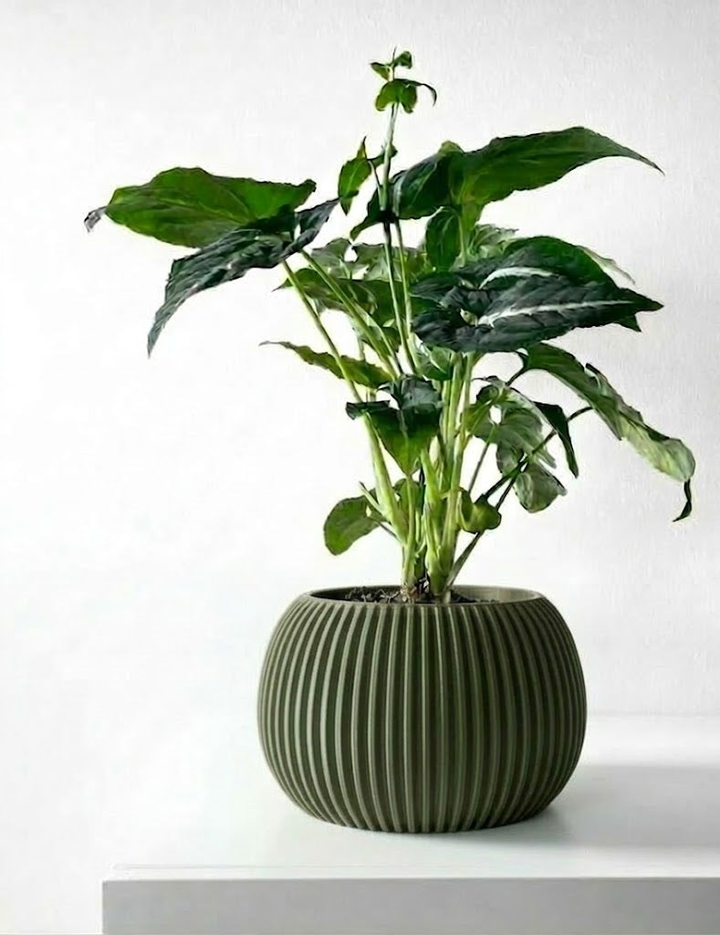 Surno Pflanztopf – Klassik neu definiert