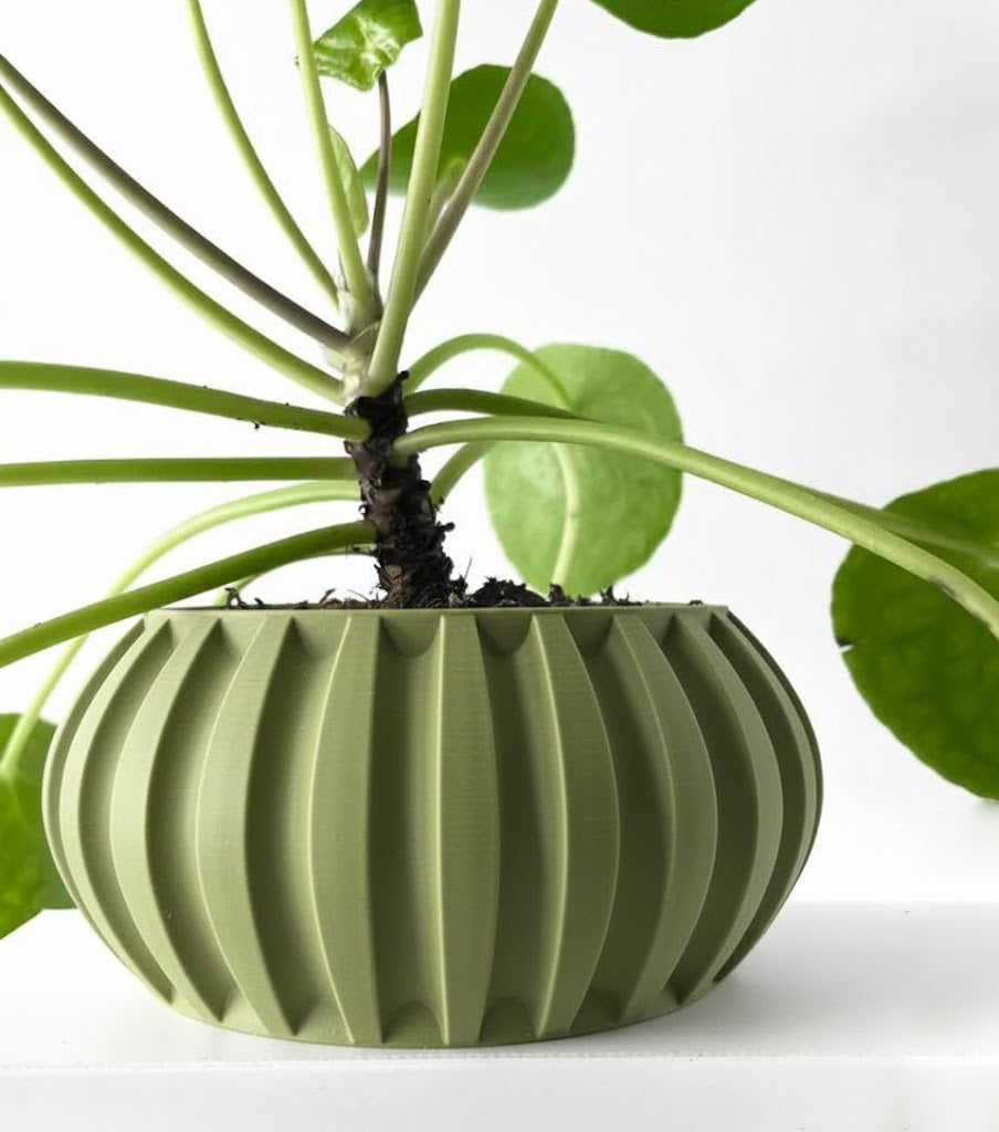 Alden Pflanztopf – Stilvolle Harmonie für deine Pflanzen