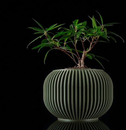 Yuso 3D Pflanztopf – Minimalismus trifft auf organische Eleganz