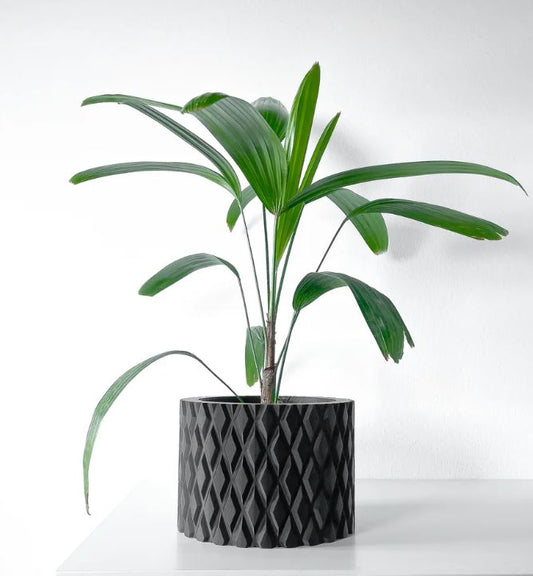 Pexil Pflanztopf – Grafische Eleganz in Perfektion