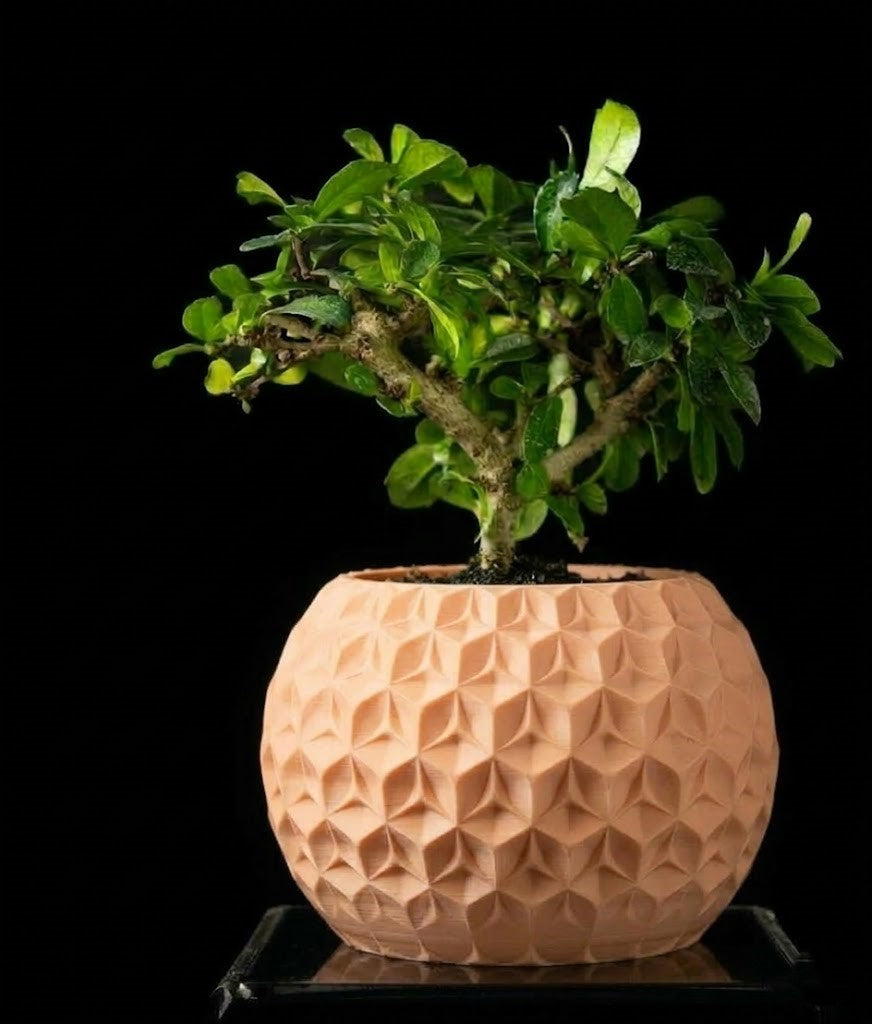 Trihex Pflanztopf – Geometrische Tiefe in 3D-Perfektion