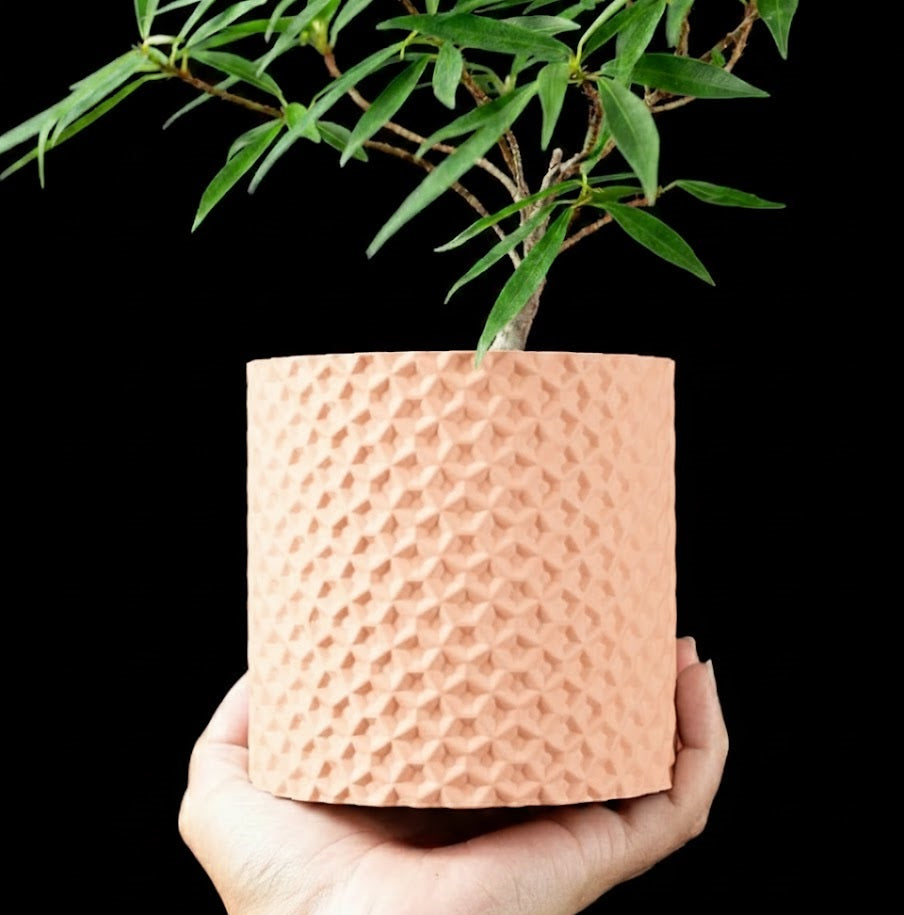 Ordan Planter Pot 3D– Geometrie trifft Natur