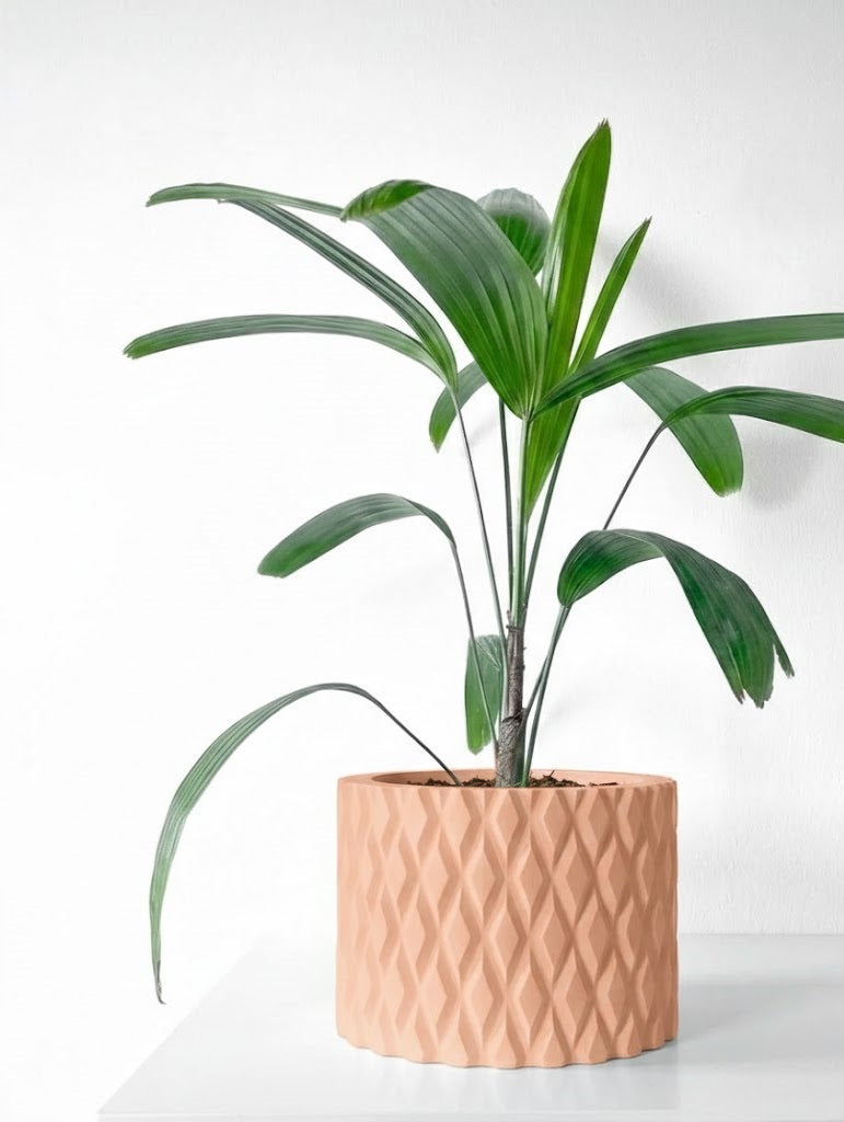 Pexil Pflanztopf – Grafische Eleganz in Perfektion
